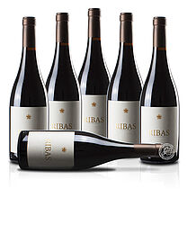 Bild 6´er Set Ribas Negre 2020