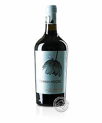Bild Tianna Negre, Vino Tinto 2021, 0,75-l-Flasche